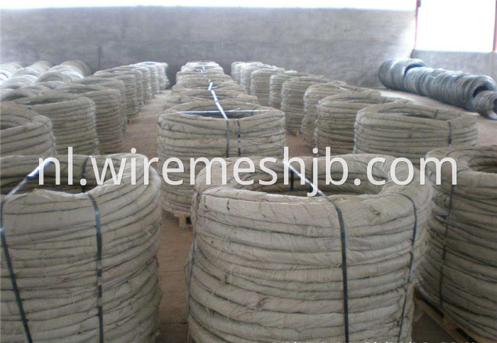 Galvanized Razor Wire